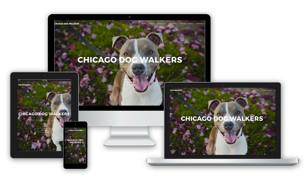 chicago dog walkers